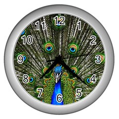 Peacock Wall Clock (silver)