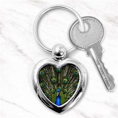 Peacock Key Chain (heart)