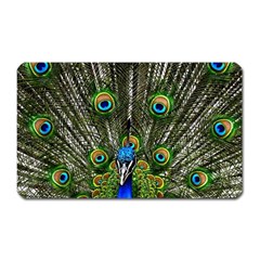 Peacock Magnet (rectangular) by Siebenhuehner