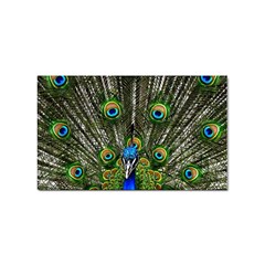 Peacock Sticker 100 Pack (rectangle) by Siebenhuehner