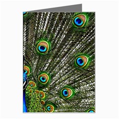 Peacock Greeting Card by Siebenhuehner