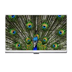 Peacock Business Card Holder