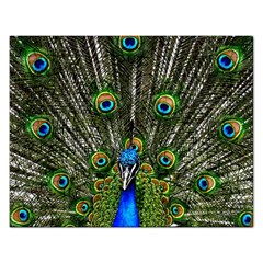 Peacock Jigsaw Puzzle (rectangle) by Siebenhuehner