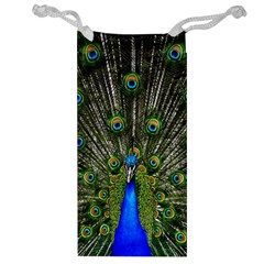 Peacock Jewelry Bag