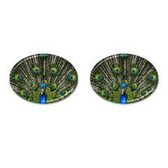 Peacock Cufflinks (oval)