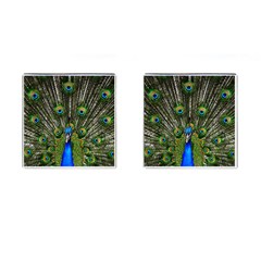 Peacock Cufflinks (square) by Siebenhuehner