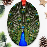 Peacock Oval Ornament (Two Sides) Back