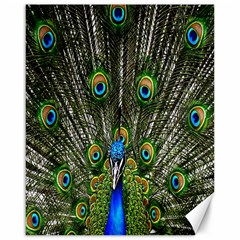 Peacock Canvas 16  X 20  (unframed) by Siebenhuehner