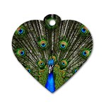 Peacock Dog Tag Heart (One Sided)  Front