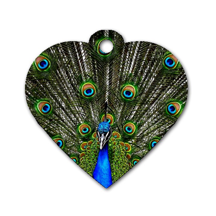 Peacock Dog Tag Heart (One Sided) 