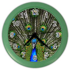 Peacock Wall Clock (color)