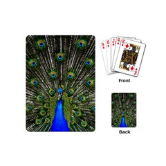 Peacock Playing Cards (mini)