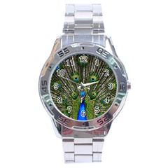 Peacock Stainless Steel Watch (men s) by Siebenhuehner