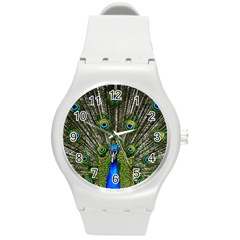 Peacock Plastic Sport Watch (medium) by Siebenhuehner