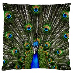 Peacock Large Cushion Case (single Sided) 