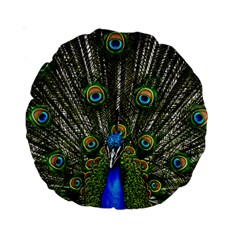 Peacock 15  Premium Round Cushion  by Siebenhuehner