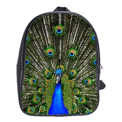 Peacock School Bag (xl)