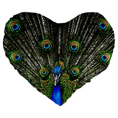 Peacock 19  Premium Heart Shape Cushion by Siebenhuehner