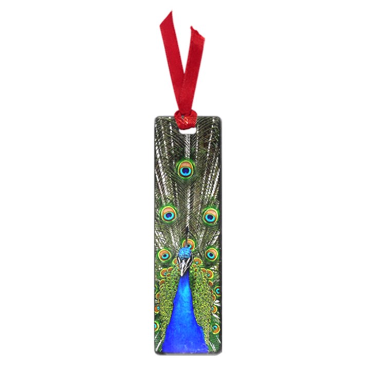 Peacock Small Bookmark