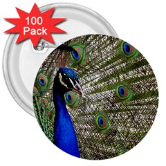 Peacock 3  Button (100 Pack) by Siebenhuehner