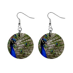 Peacock Mini Button Earrings by Siebenhuehner