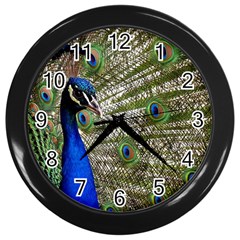 Peacock Wall Clock (black) by Siebenhuehner