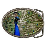 Peacock Belt Buckle (Oval) Front