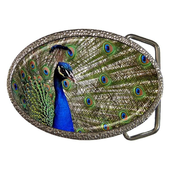 Peacock Belt Buckle (Oval)