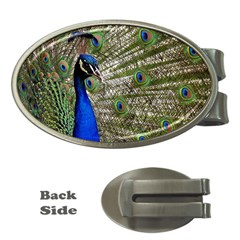 Peacock Money Clip (oval) by Siebenhuehner