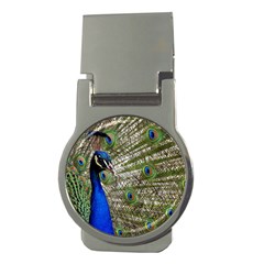 Peacock Money Clip (round) by Siebenhuehner