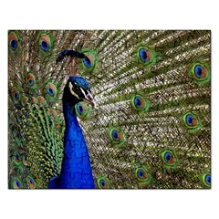 Peacock Jigsaw Puzzle (rectangle) by Siebenhuehner