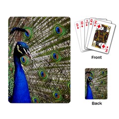 Peacock Playing Cards Single Design