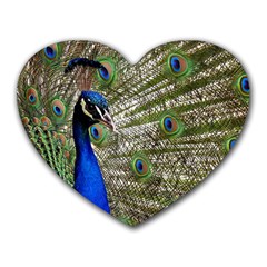 Peacock Mouse Pad (heart) by Siebenhuehner