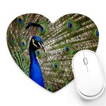 Peacock Mouse Pad (Heart) Front