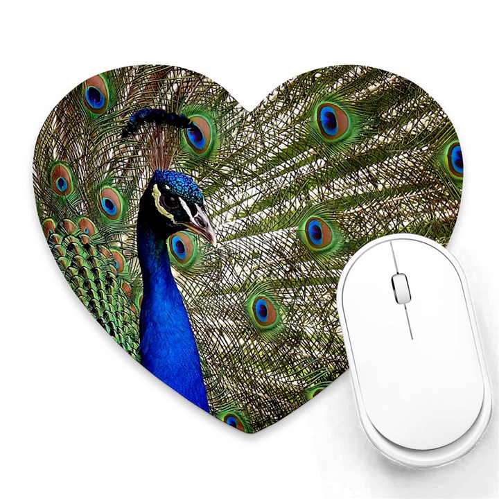 Peacock Mouse Pad (Heart)