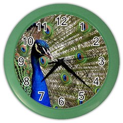 Peacock Wall Clock (color) by Siebenhuehner