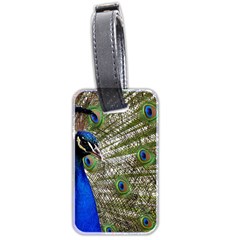 Peacock Luggage Tag (two Sides) by Siebenhuehner