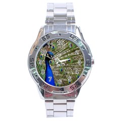 Peacock Stainless Steel Watch (men s) by Siebenhuehner