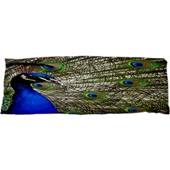 Peacock Samsung Galaxy Nexus S I9020 Hardshell Case