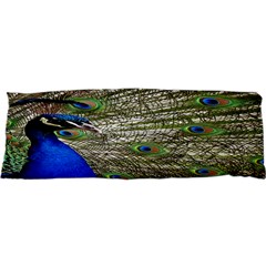 Peacock Samsung S3350 Hardshell Case