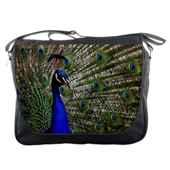 Peacock Messenger Bag