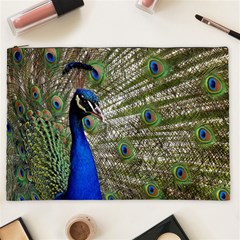 Peacock Cosmetic Bag (xxl)