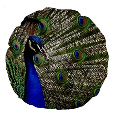 Peacock 18  Premium Round Cushion  by Siebenhuehner