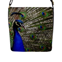 Peacock Flap Closure Messenger Bag (large) by Siebenhuehner