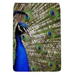 Peacock Removable Flap Cover (large)