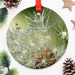 Dandelion Round Ornament Front