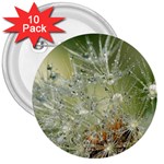 Dandelion 3  Button (10 pack) Front