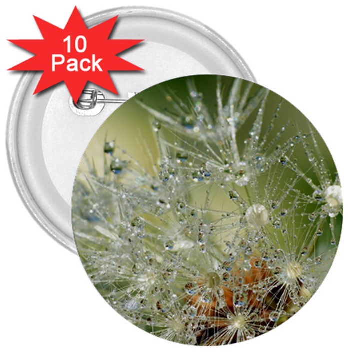 Dandelion 3  Button (10 pack)