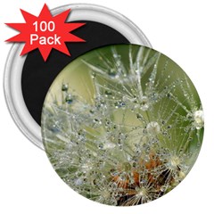 Dandelion 3  Button Magnet (100 Pack) by Siebenhuehner