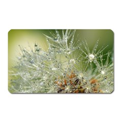 Dandelion Magnet (Rectangular)